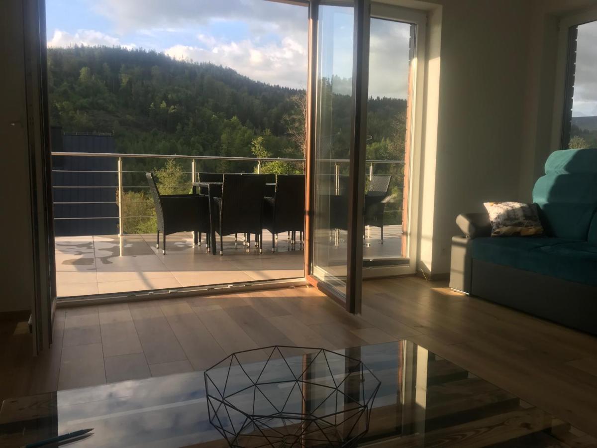 Willa Przy Skoczni Dom Wakacyjny Weichsel Exterior foto